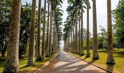 Aburi Botanical Gardens Ghana