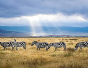 Arusha Tanzania