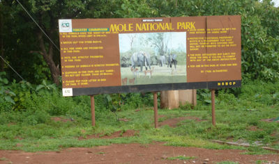 Mole National Park Ghana