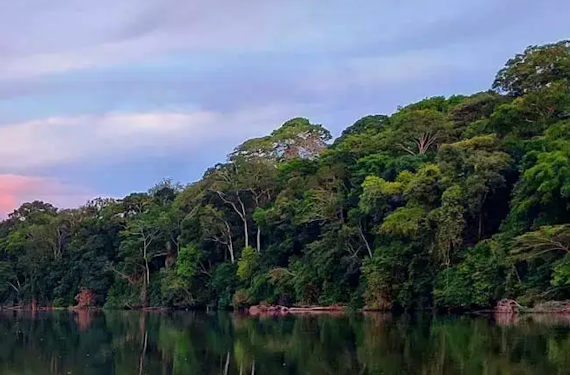 Manu National Park