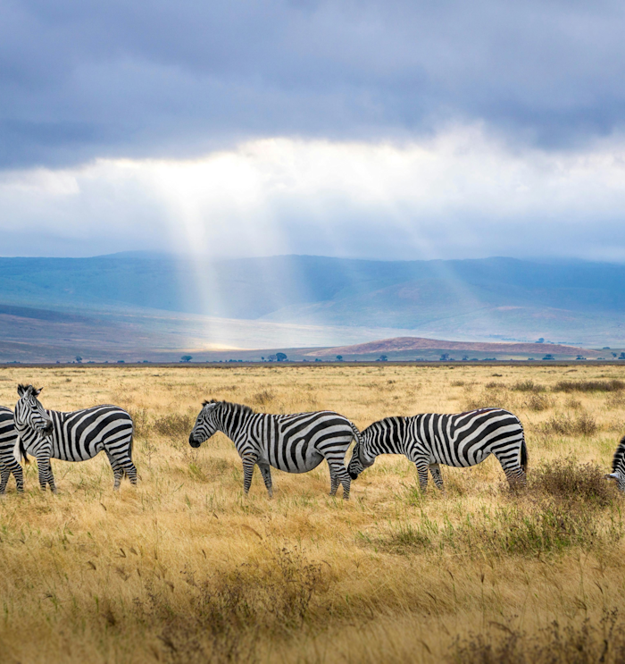 Arusha Tanzania